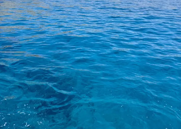 Villara Ultra Luxury Private In Daily Housekeeping Private Cook Chauffeur Service Villa Bodrum