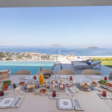 Villara Ultra Luxury Private In Daily Housekeeping Private Cook Chauffeur Service Vila