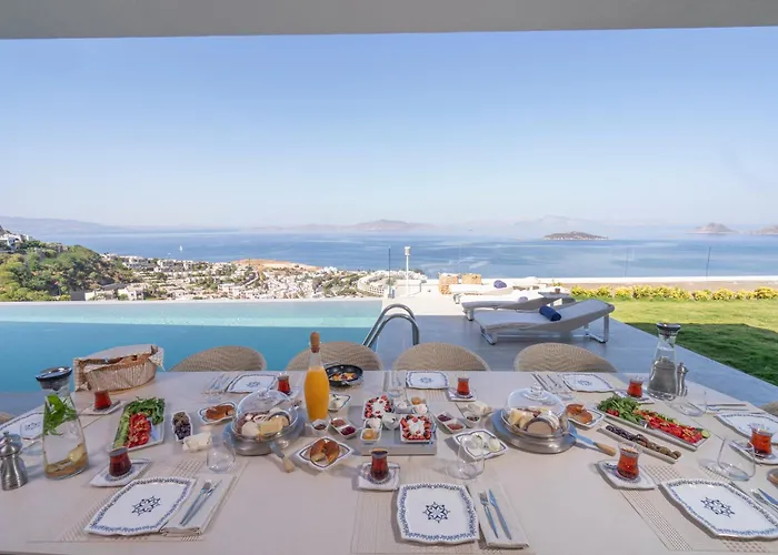 Villara Ultra Luxury Private In Daily Housekeeping Private Cook Chauffeur Service וילה